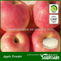 GMO Free Natural Organic Apple Powder in Stock